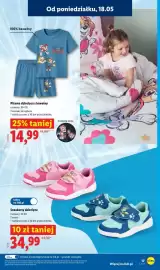 Lidl gazetka tydzień 21 Strona 19
