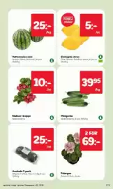 Östenssons reklamblad vecka 20 Sida 5