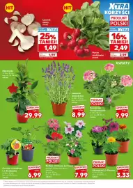 Kaufland gazetka Strona 13