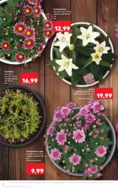 Catalog Kaufland săptămâna 20 Pagină 8
