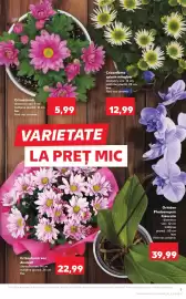 Catalog Kaufland săptămâna 20 Pagină 9