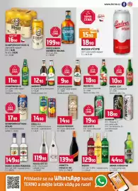 Terno leták týden 20 Strana 13