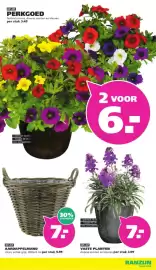 Ranzijn folder week 20 Pagina 13