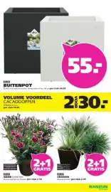 Ranzijn folder week 20 Pagina 18
