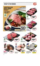 IGA catalogue week 20 Page 11