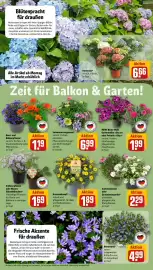 REWE Kaufpark Prospekt woche 20 Seite 14