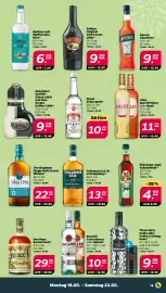 NETTO Prospekt woche 21 Seite 13