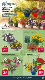 NETTO Prospekt woche 21 Seite 19