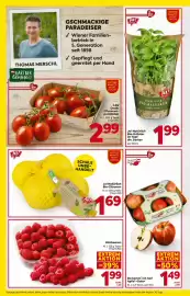 Billa Flugblatt woche 20 Seite 6