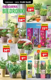 Biedronka gazetka tydzień 20 Strona 40