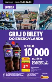 Biedronka gazetka tydzień 20 Strona 78