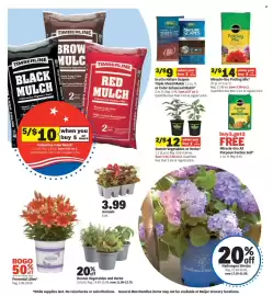 Meijer weekly ad week 20 Page 2