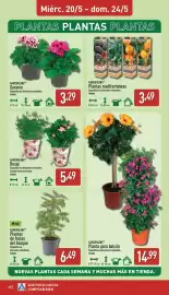 Folleto ALDI semana 21 Página 20