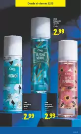 Catálogo Lidl semana 21 Página 25