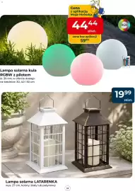 Mrówka gazetka Strona 24