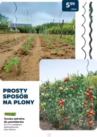 Mrówka gazetka Strona 4