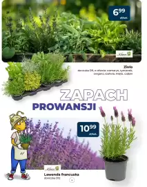 Mrówka gazetka Strona 5
