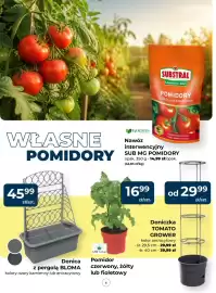 Mrówka gazetka Strona 6
