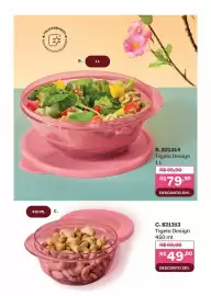 Catálogo Tupperware Página 33