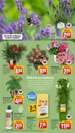 Rewe DE folder week 20 Pagina 7