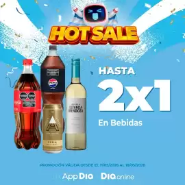 Folleto Supermercados DIA semana 20 Página 3