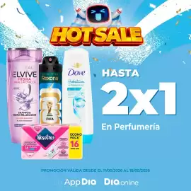 Folleto Supermercados DIA semana 20 Página 4