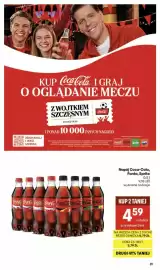 Delikatesy Centrum gazetka tydzień 20 Strona 31
