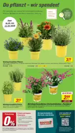 Toom Baumarkt Prospekt woche 20 Seite 2