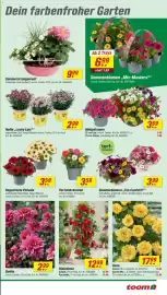 Toom Baumarkt Prospekt woche 20 Seite 3