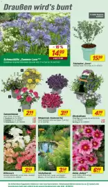 Toom Baumarkt Prospekt woche 20 Seite 4