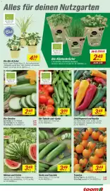 Toom Baumarkt Prospekt woche 20 Seite 5