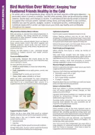 Just For Pets catalogue Page 20