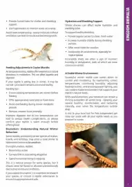 Just For Pets catalogue Page 31
