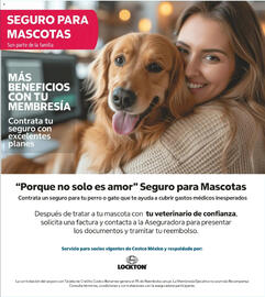Catálogo Costco semana 20 Página 8