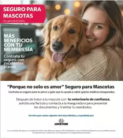 Catálogo Costco semana 20 Página 8