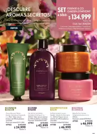Catálogo Oriflame Página 105