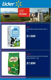 Catálogo Lider semana 20 Página 4