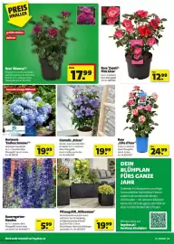 Hagebau Flugblatt Seite 4