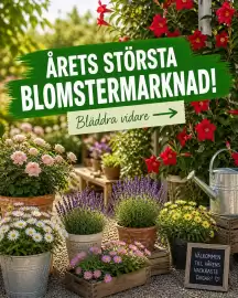 EKO reklamblad vecka 20 Sida 1