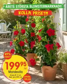 EKO reklamblad vecka 20 Sida 2