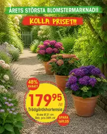 EKO reklamblad vecka 20 Sida 3