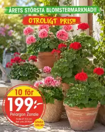 EKO reklamblad vecka 20 Sida 6