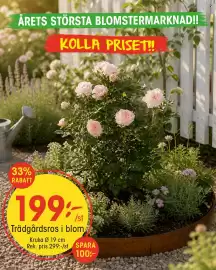 EKO reklamblad vecka 20 Sida 8