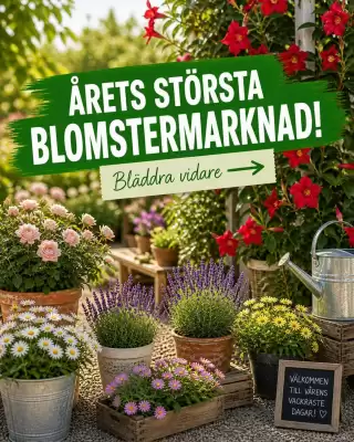 EKO (giltig till och med 18-05)
