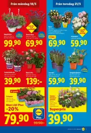 Lidl reklamblad vecka 21 Sida 20