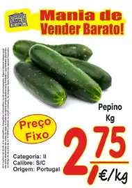 Folheto Casa Cheia Página 2