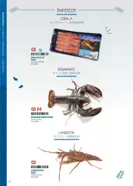 Catálogo Makro Página 47