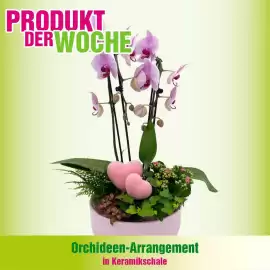 Blumen B&B Flugblatt Seite 1
