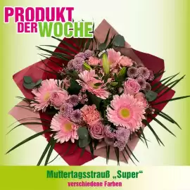 Blumen B&B Flugblatt Seite 11
