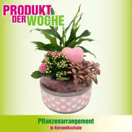 Blumen B&B Flugblatt Seite 2